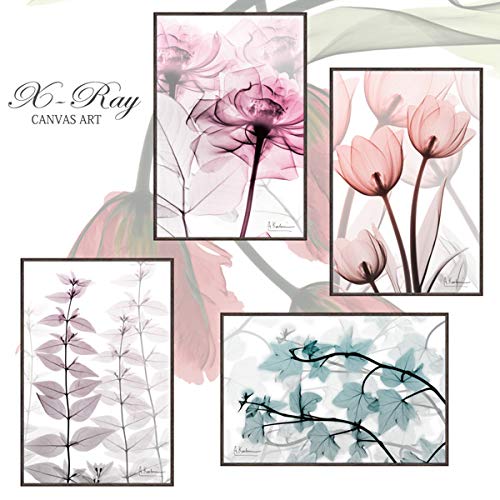 Amazon.co.jp: レントゲンアート X RAY キャンバスアート「ピンク